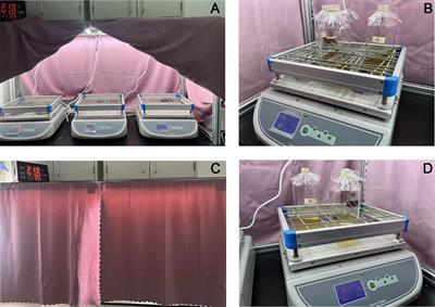 The effects of turbulence on the growth of three different diatom species